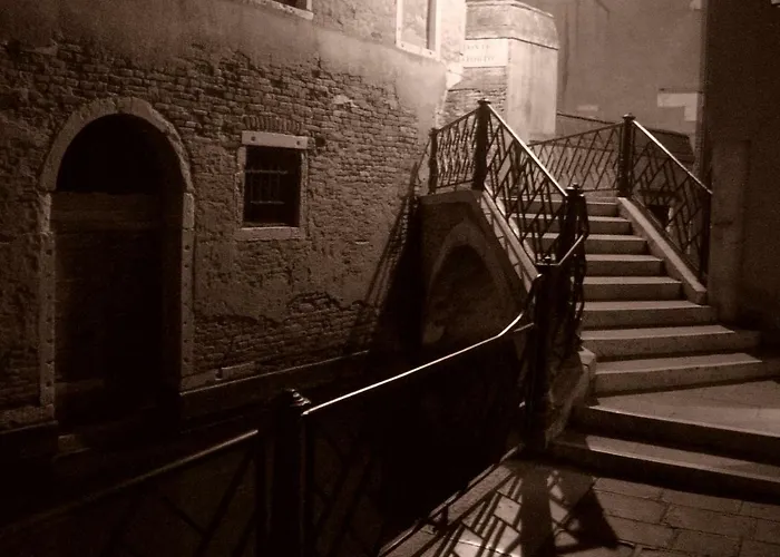 Rudy House البندقية