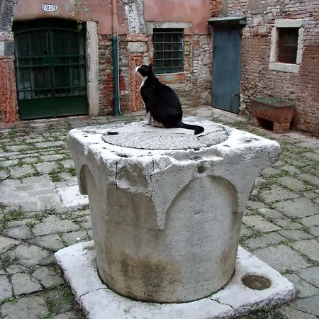 Apartment Rudy House Venice