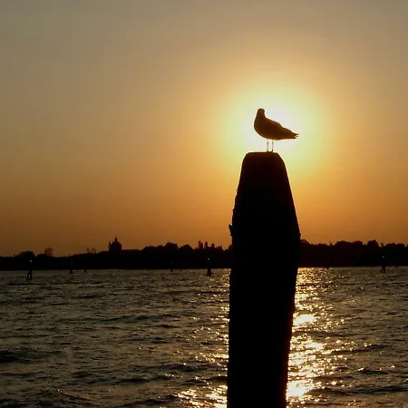 Rudy House * Velence