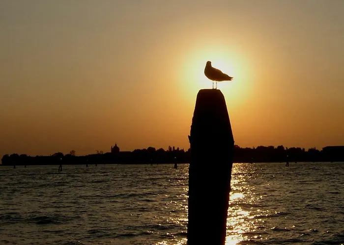 Rudy House * Venecia