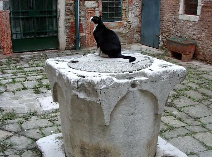 Apartamento Rudy House Venecia